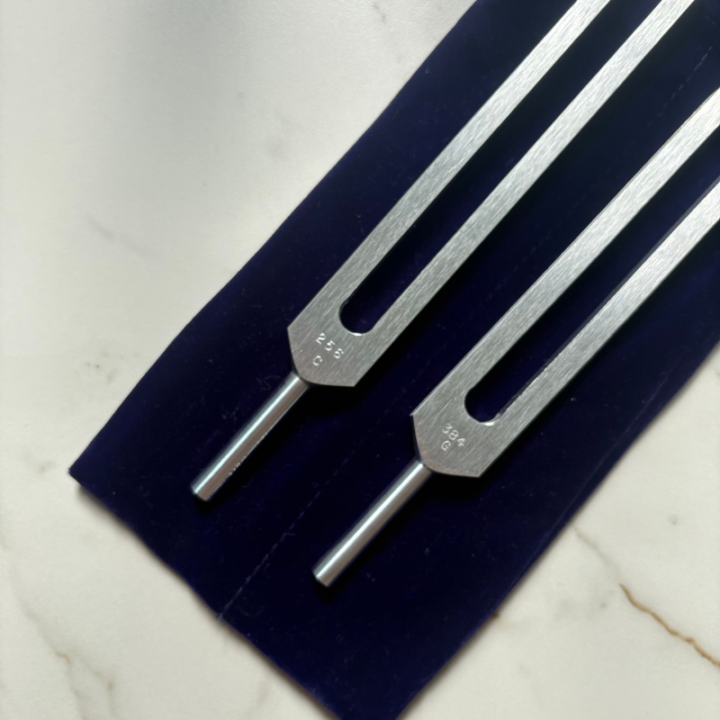 Biosonic Body Tuners – C256 and G384 (Perfect Fifth Tuning Forks)