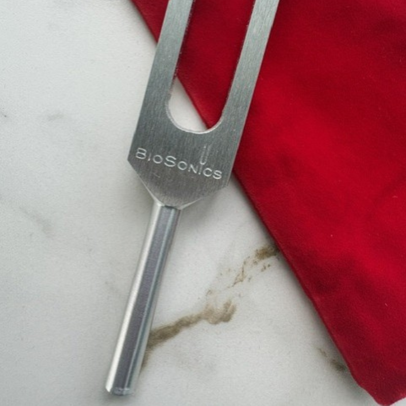 BioSonics Weighted Otto G Tuning Fork – 192Hz