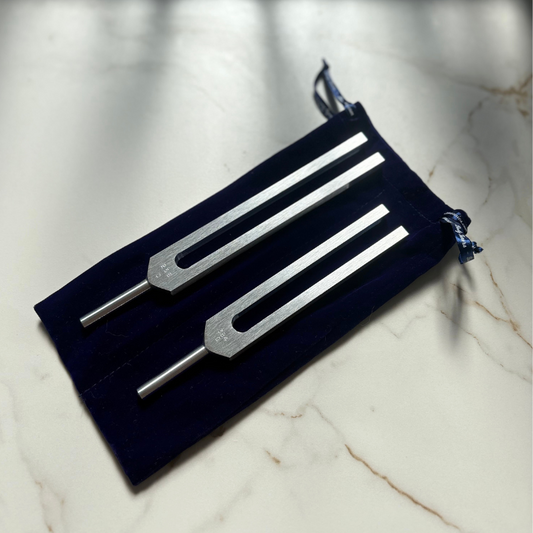 Biosonic Body Tuners – C256 and G384 (Perfect Fifth Tuning Forks)