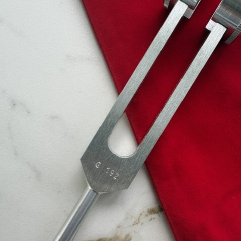 BioSonics Weighted Otto G Tuning Fork – 192Hz